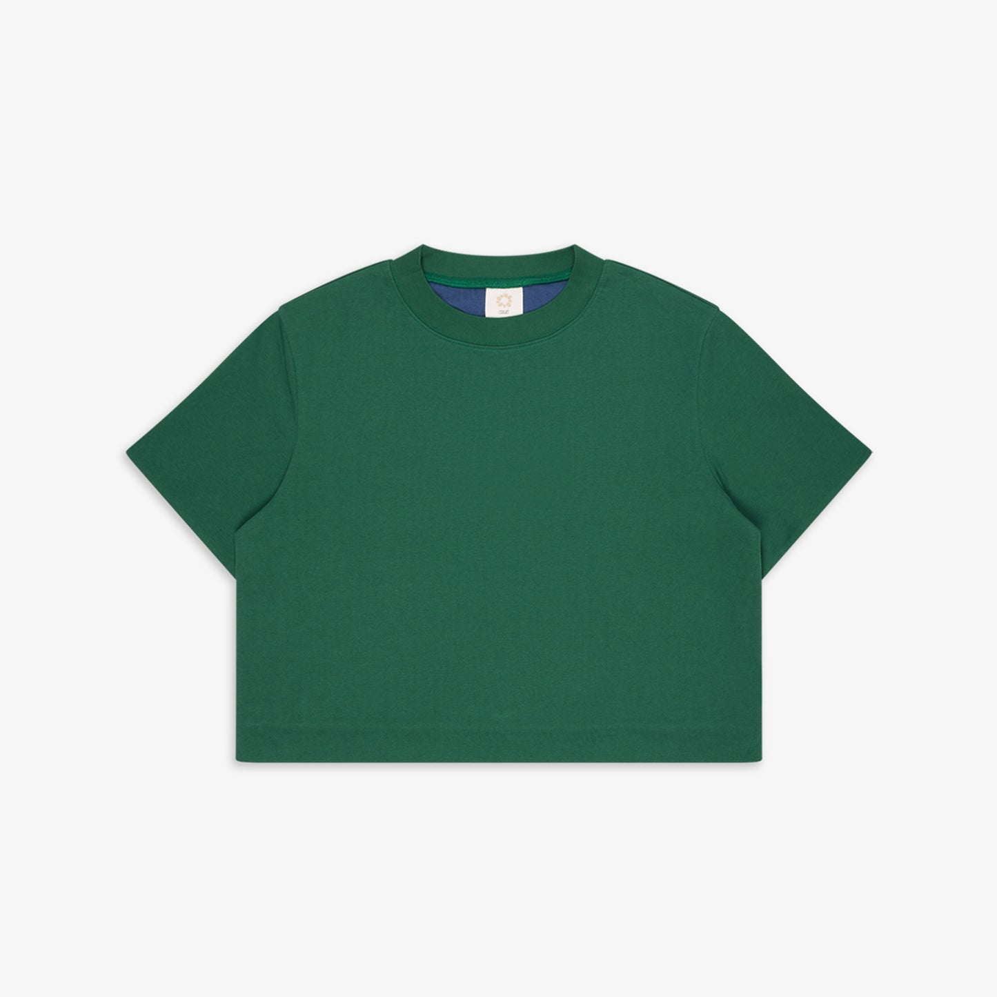 Reversible Tee Green/Blue